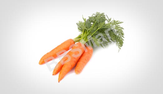 Carrot