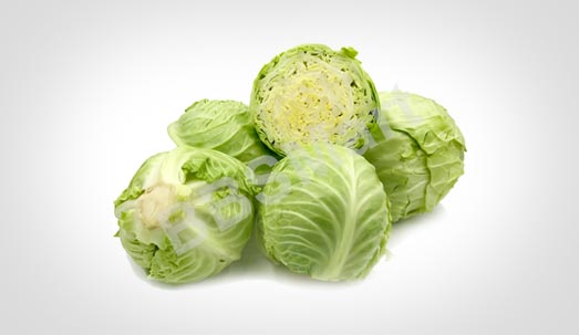 Cabbage
