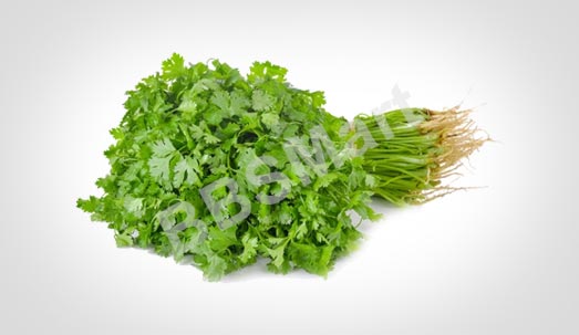 Coriander Leaf