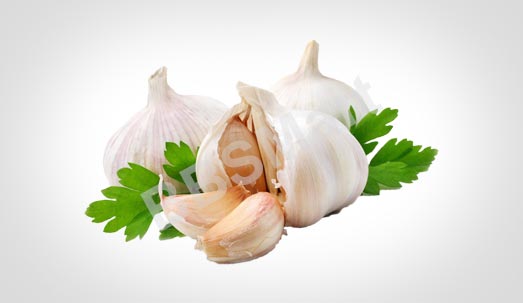 Garlic
