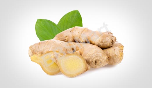 Ginger