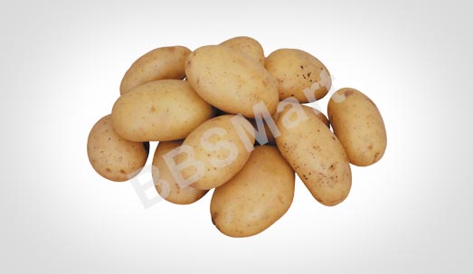 Potato