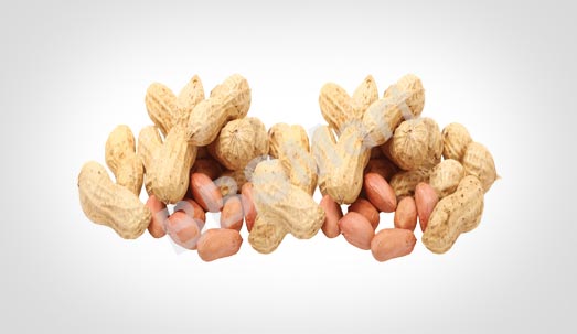 Raw Peanut